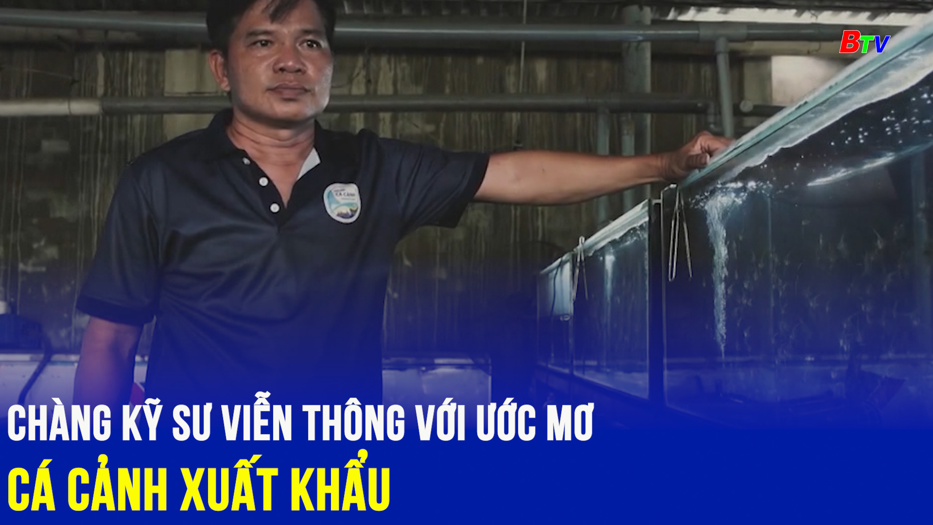 Chàng kỹ sư viễn thông với ước mơ cá cảnh xuất khẩu