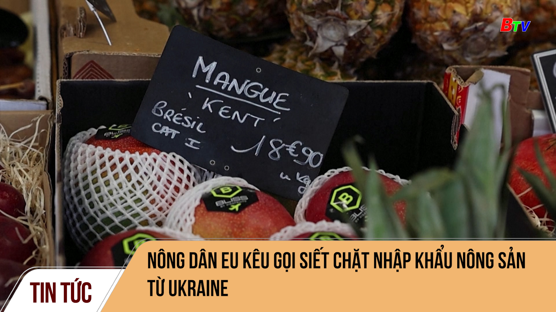 Nông dân EU kêu gọi siết chặt nhập khẩu nông sản từ Ukraine