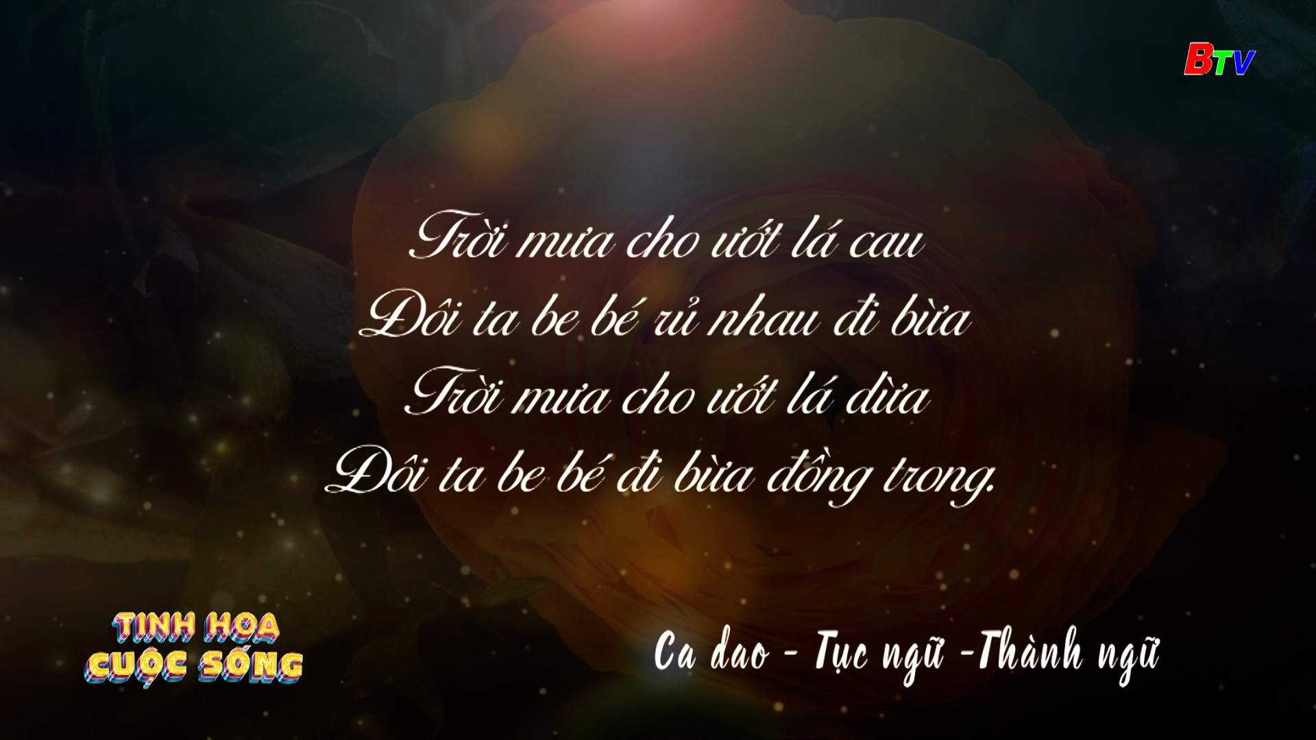 Tinh hoa cuộc sống - số 332