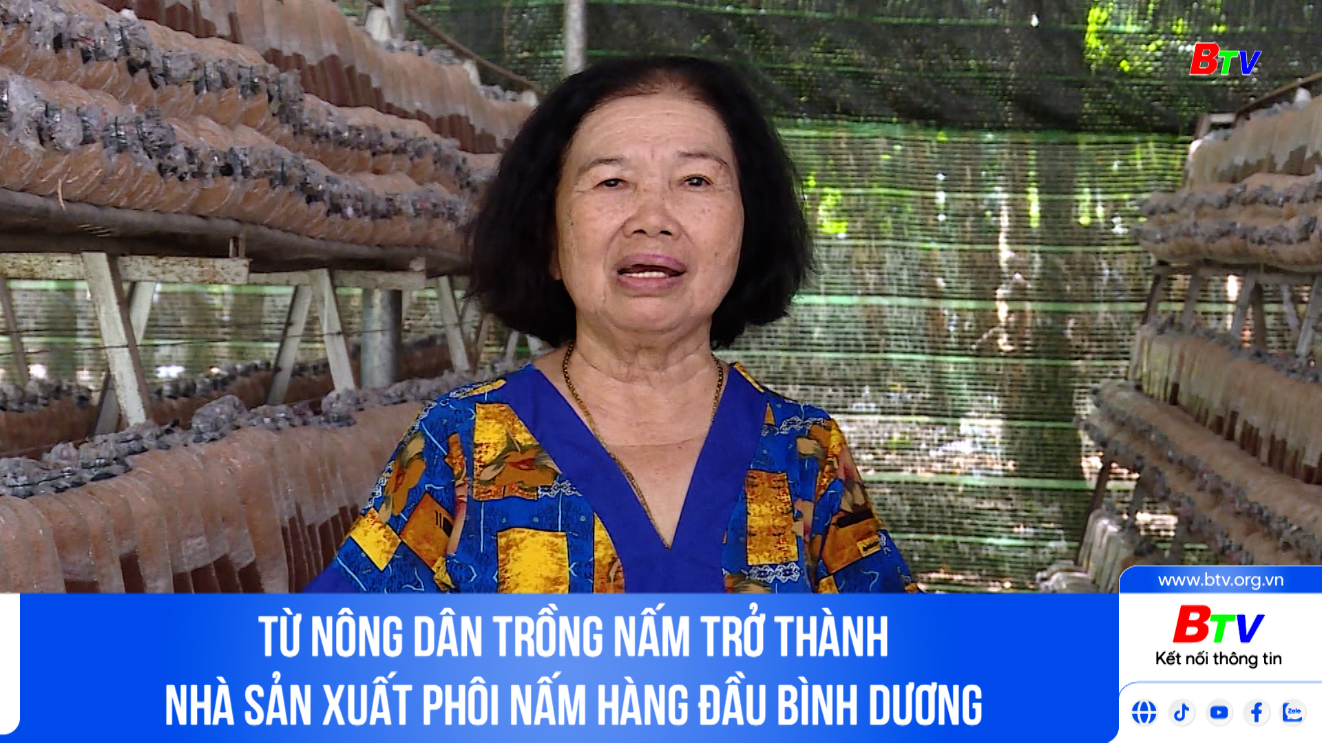 Từ nông dân trồng nấm trở thành nhà sản xuất phôi nấm hàng đầu Bình Dương