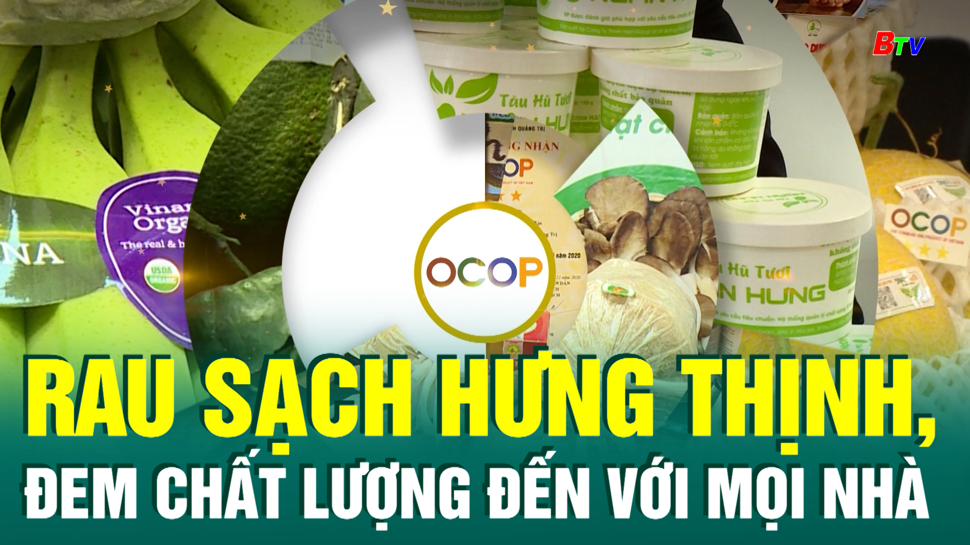 Rau sạch Hưng Thịnh, đem chất lượng đến với mọi nhà