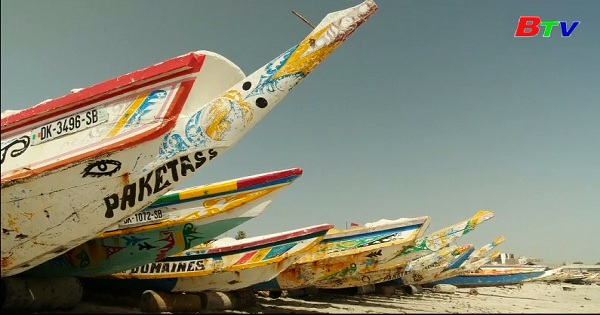 Những chiếc thuyền đánh cá đầy màu sắc ở Senegal