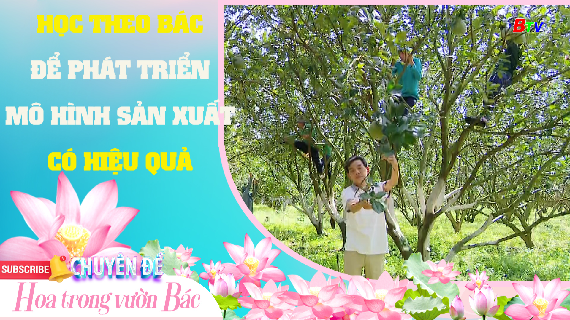 Học theo Bác để phát triển mô hình sản xuất có hiệu quả