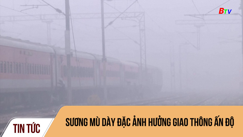 Sương mù dày đặc ảnh hưởng giao thông Ấn Độ