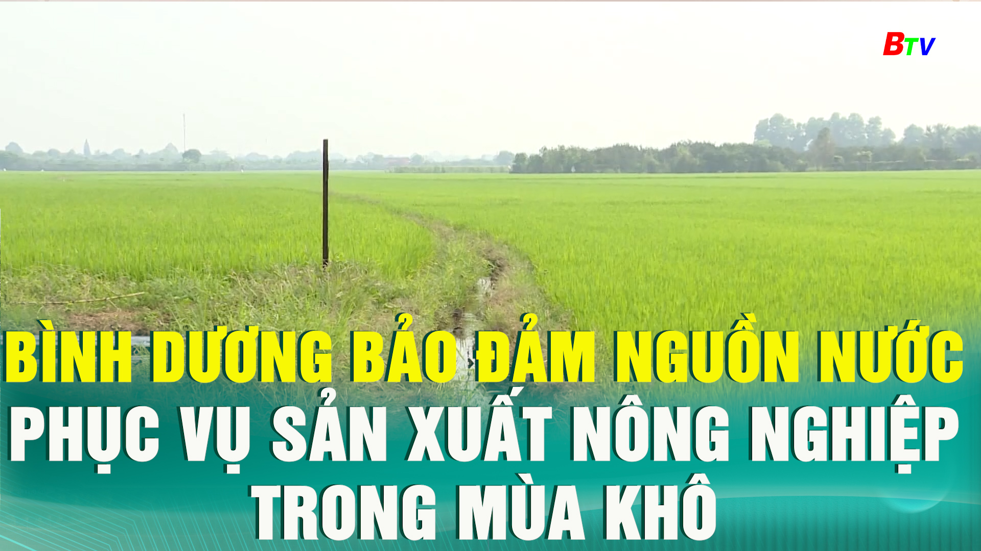 Bình Dương bảo đảm nguồn nước phục vụ sản xuất nông nghiệp trong mùa khô