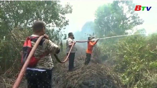 Indonesia nỗ lực dập cháy rừng