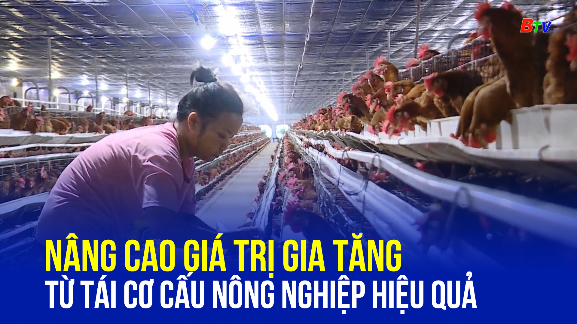 Nâng cao giá trị gia tăng từ tái cơ cấu nông nghiệp hiệu quả