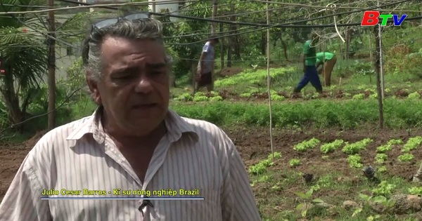Brazil - Người dân Rio với chương trình cung cấp  sản phẩm Organic