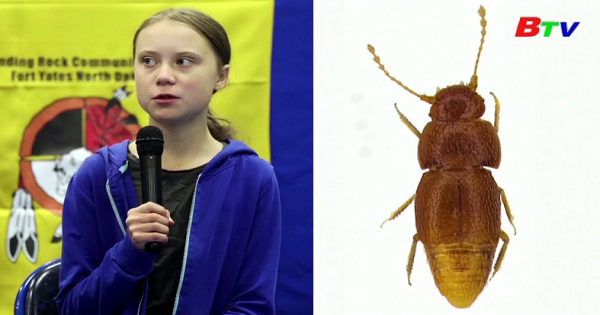 Loài bọ hung được đặt theo tên nhà hoạt động môi trường  Greta Thunberg