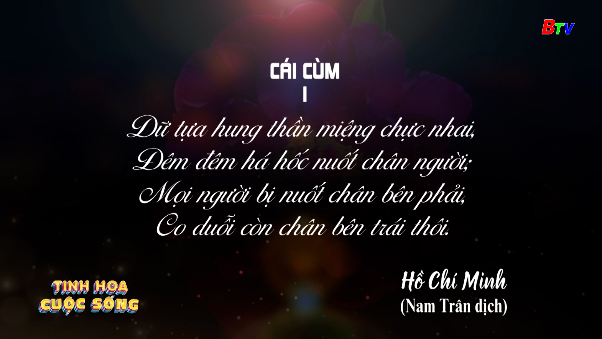 Tinh hoa cuộc sống - số 486