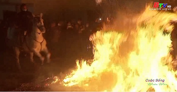 Lễ hội nhảy qua lửa dành cho các chú ngựa ở Tây Ban Nha
