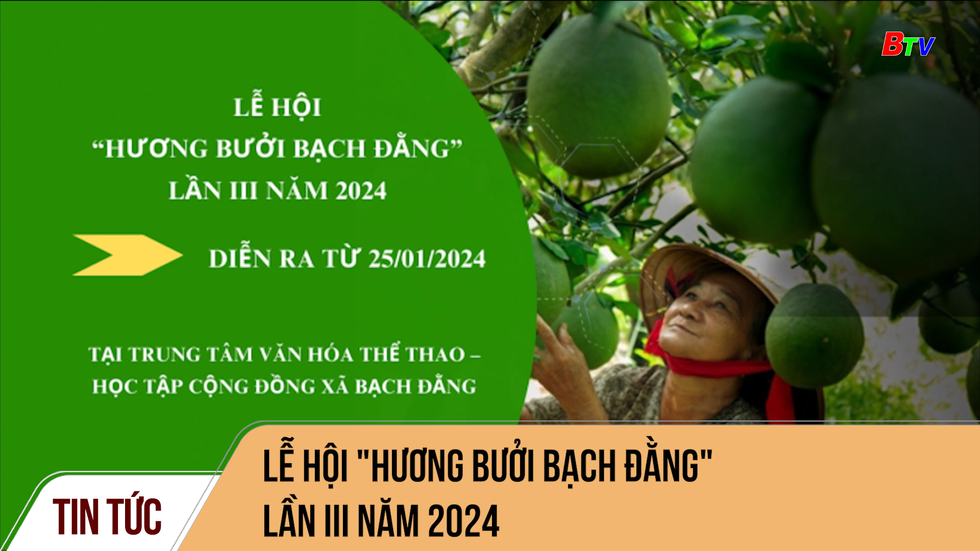 Lễ hội 