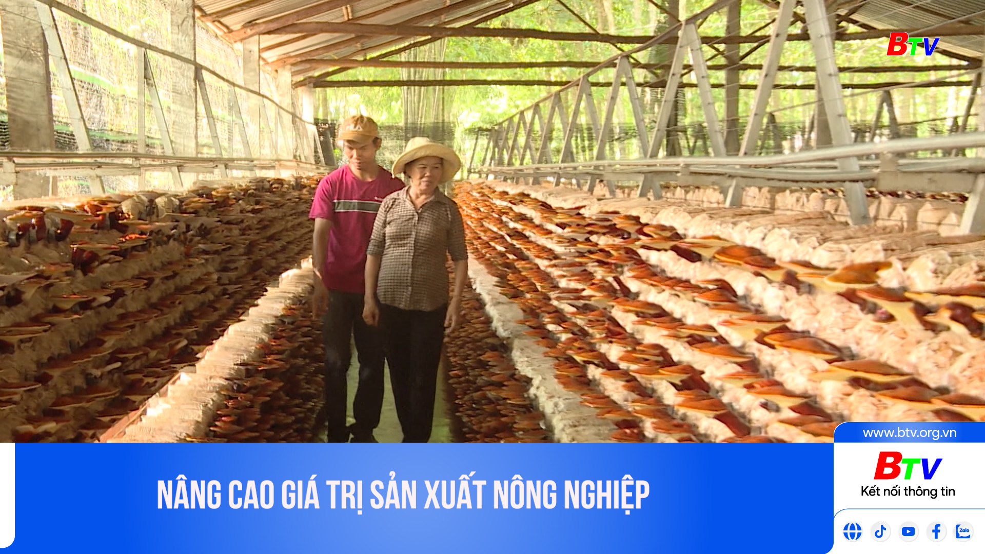 Nâng cao giá trị sản xuất nông nghiệp