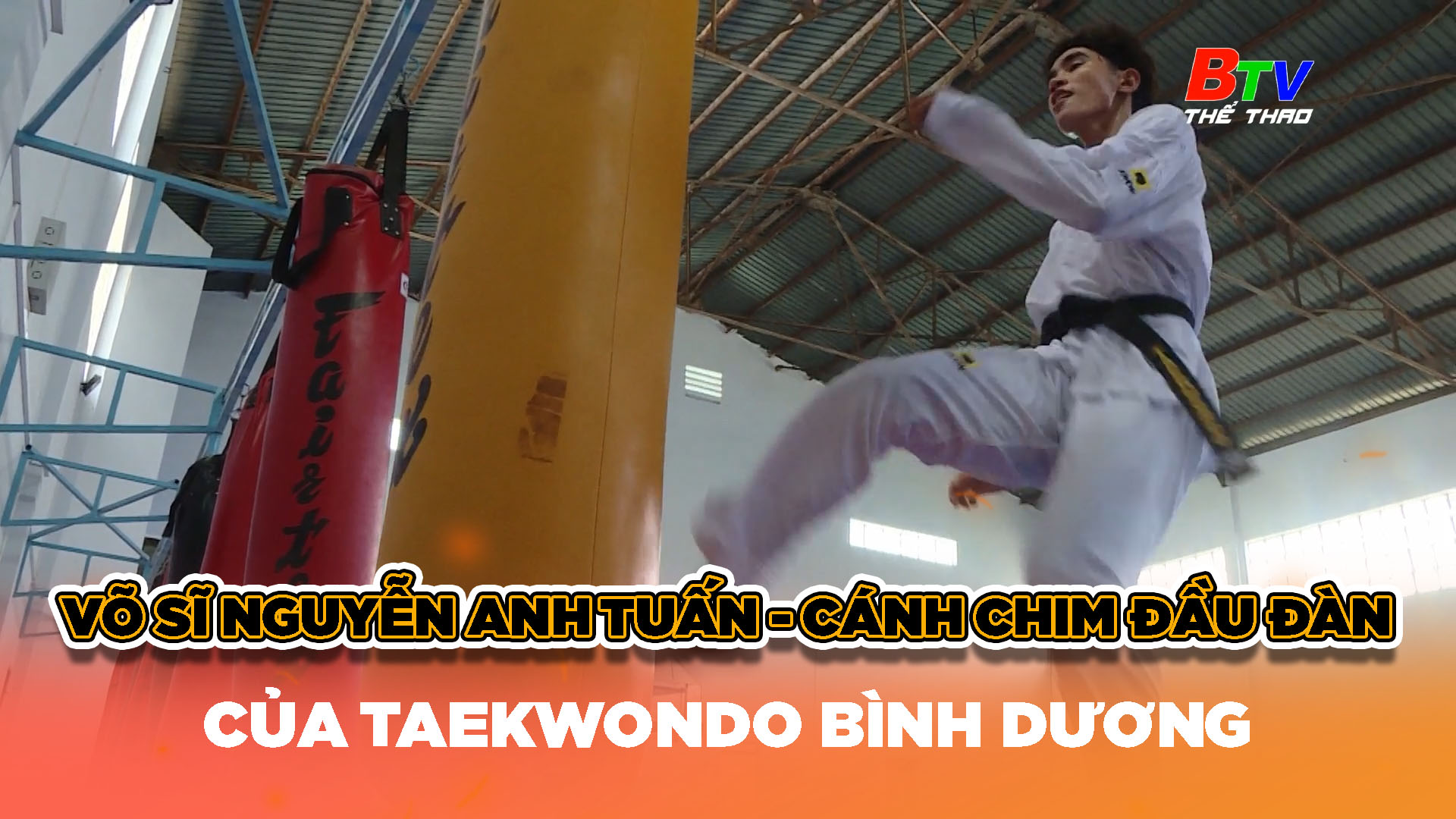 Võ sĩ Nguyễn Anh Tuấn – Cánh chim đầu đàn của Taekwondo Bình Dương