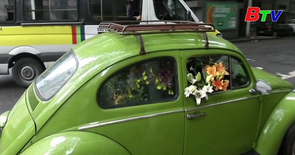 Người phụ nữ Brazil biến xe cổ thành sạp bán hoa di động để kiếm sống