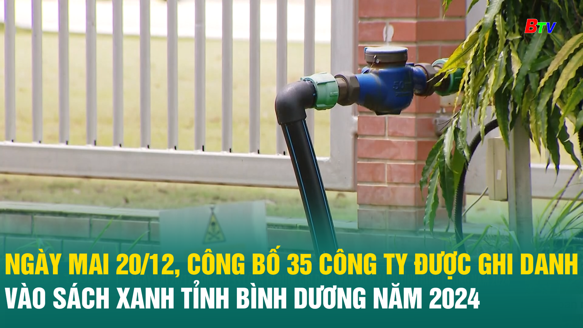 Ngày mai 20/12, công bố 35 công ty được ghi danh vào Sách Xanh tỉnh Bình Dương năm 2024