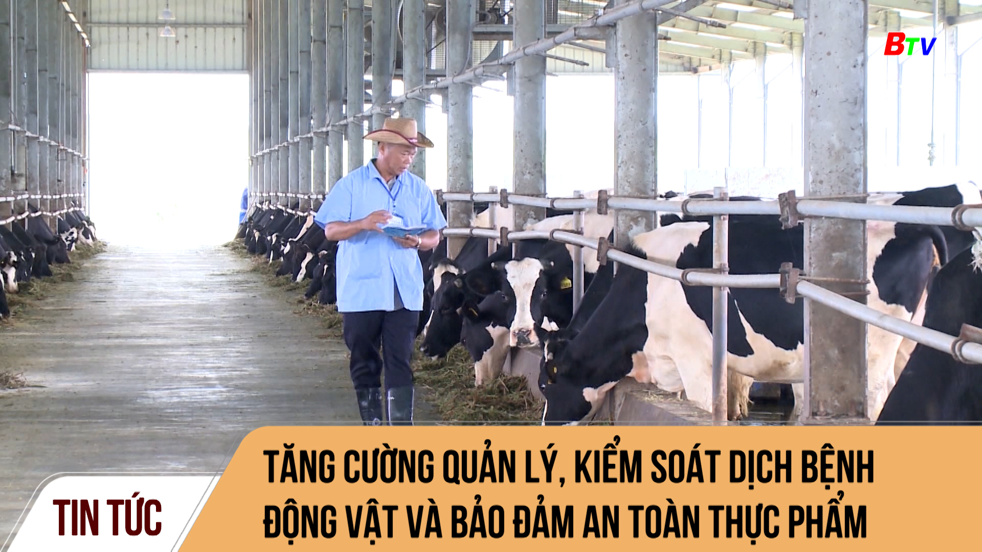 Tăng cường quản lý, kiểm soát dịch bệnh động vật và bảo đảm an toàn thực phẩm