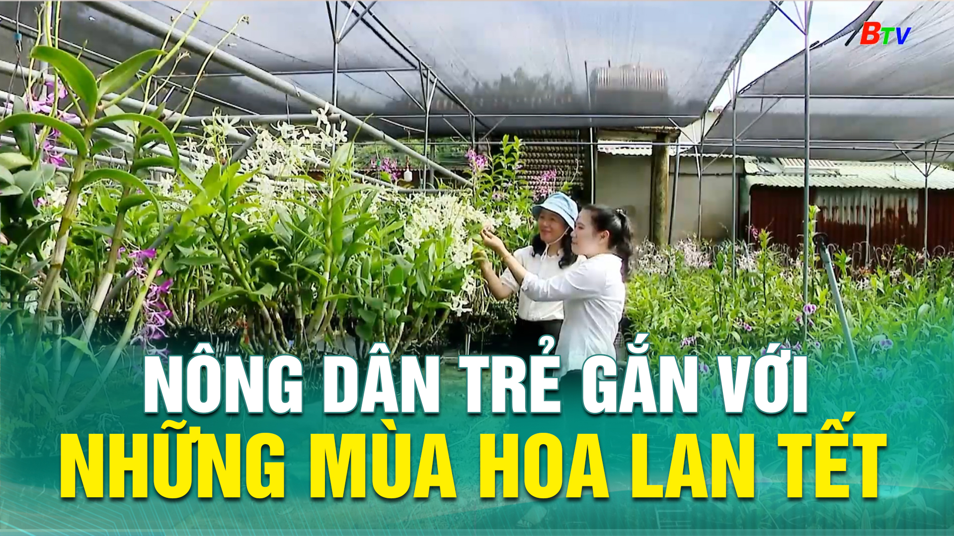 Nông dân trẻ gắn với những mùa hoa lan Tết