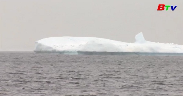Ngắm băng trôi ở bờ biển Canada