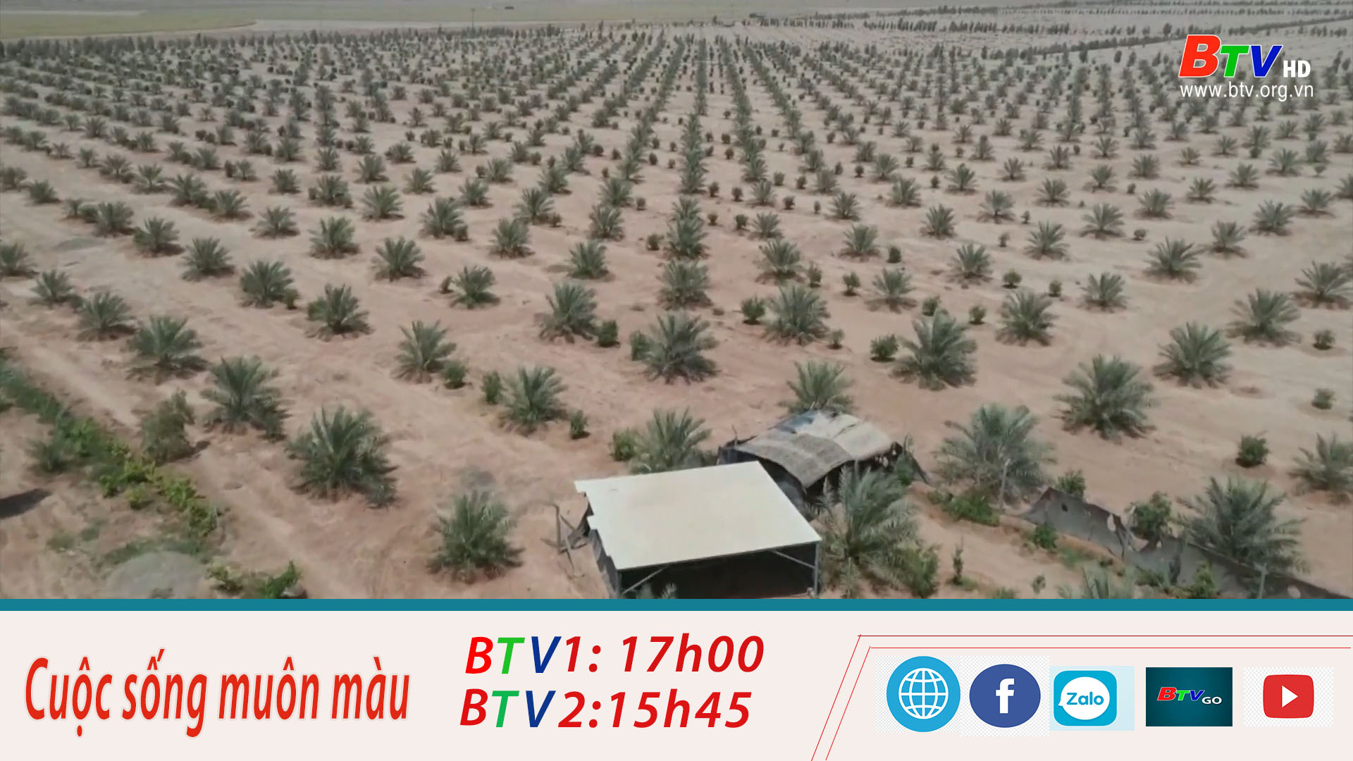 Sáng kiến vành đai xanh ngăn bão cát tại Iraq