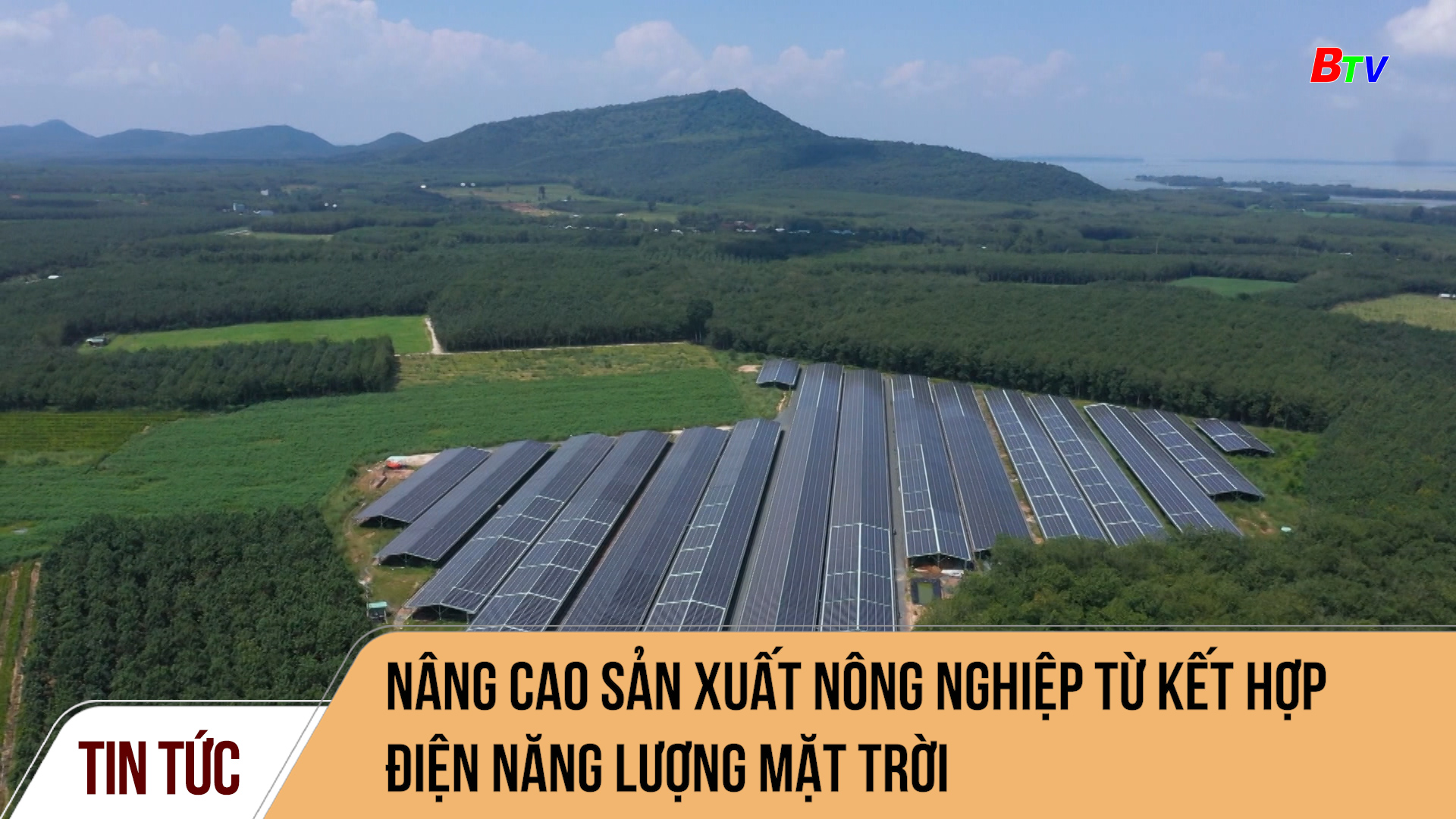 Nâng cao sản xuất nông nghiệp từ kết hợp điện năng lượng mặt trời