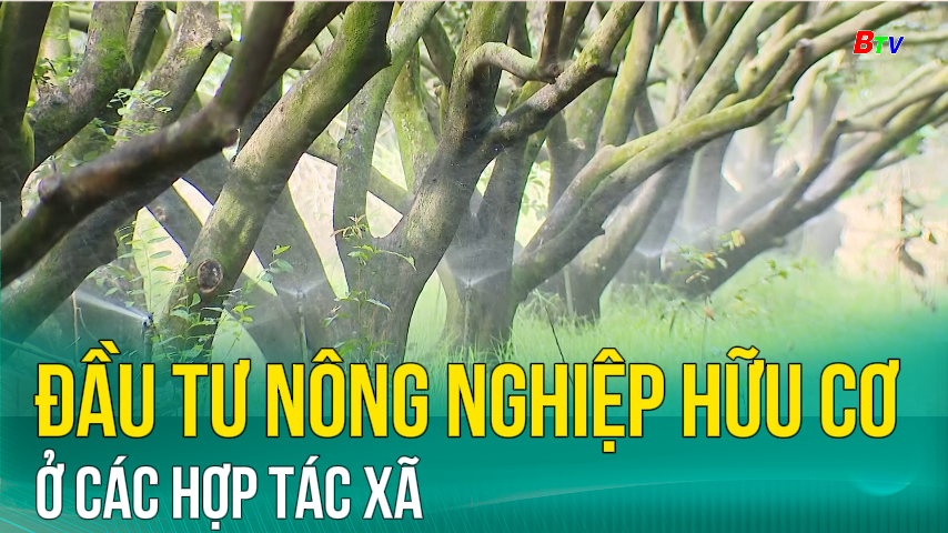 Đầu tư nông nghiệp hữu cơ ở các hợp tác xã