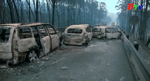 Bồ Đào Nha dành 3 ngày quốc tang để tưởng nhớ 62 nạn nhân cháy rừng