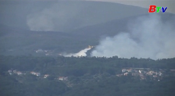 Tổng thống Bồ Đào Nha xác nhận ít nhất 62 người thiệt mạng do cháy rừng