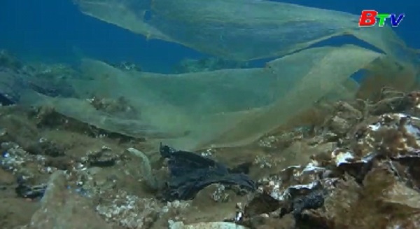 Nhật Bản nghiên cứu cơ chế rác nhựa gây ô nhiễm hệ sinh thái biển