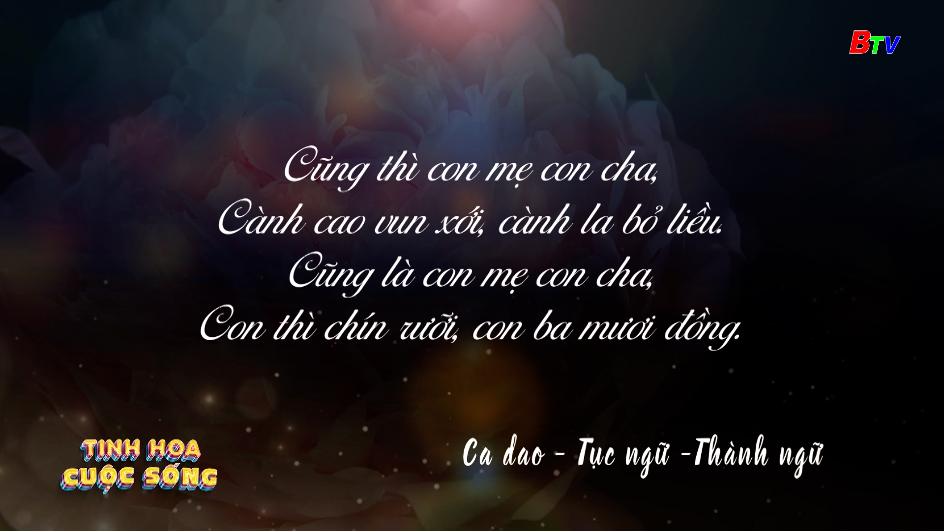 Tinh hoa cuộc sống - số 393