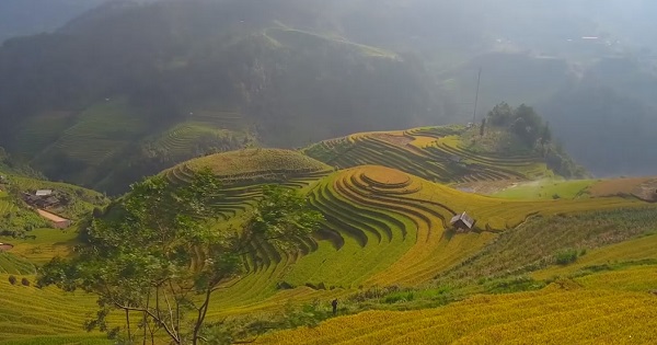 Cơ hội vàng quảng bá du lịch Việt Nam