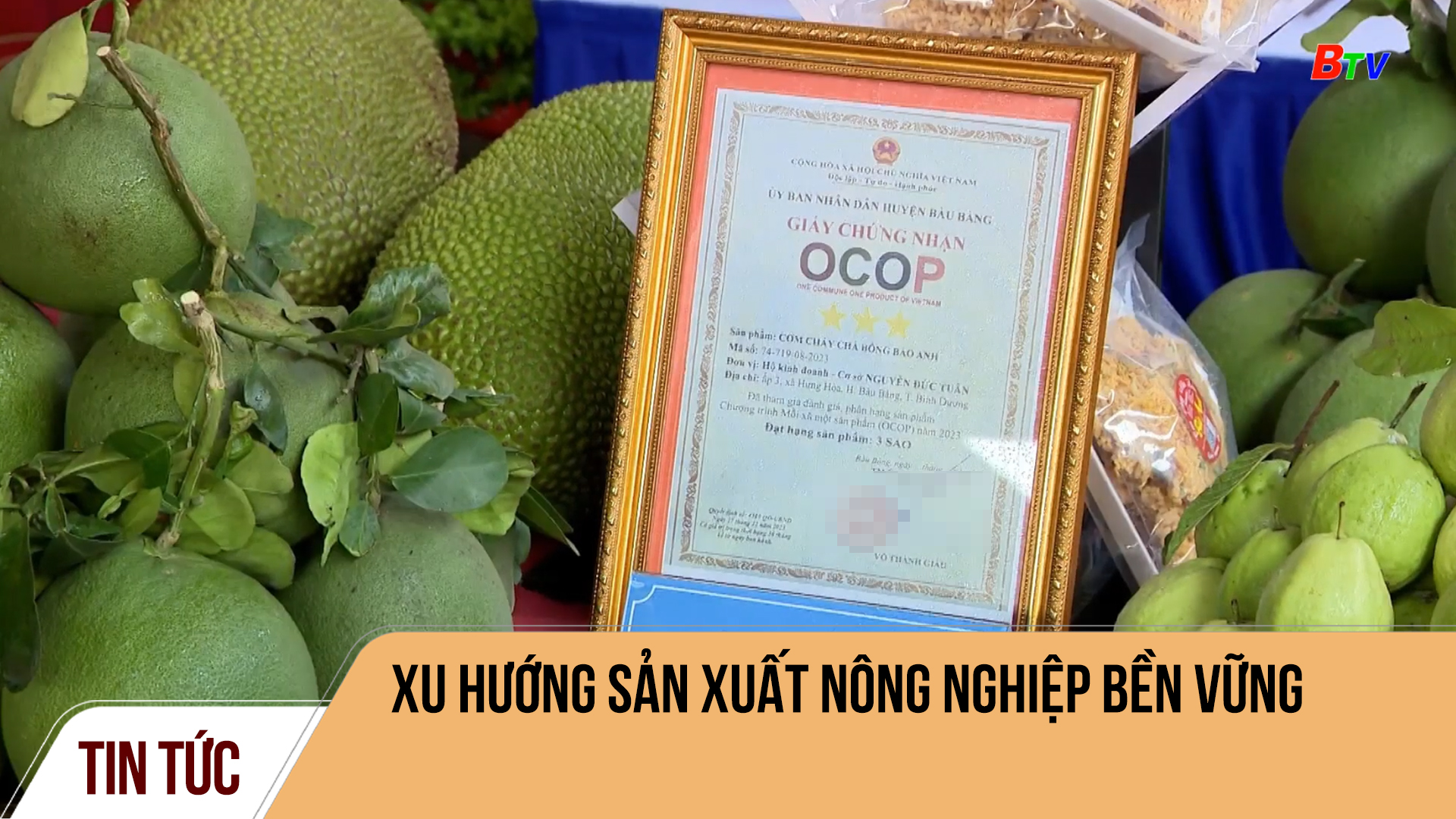 Xu hướng sản xuất nông nghiệp bền vững