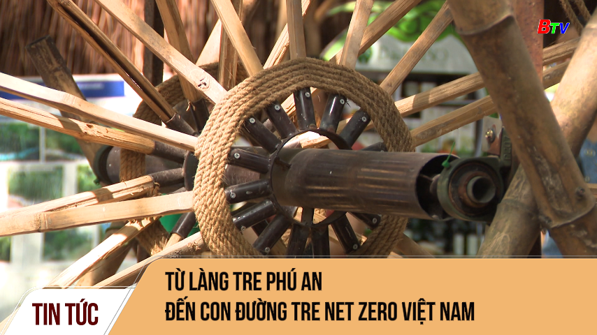 Từ làng tre Phú An đến con đường tre Net Zero Việt Nam