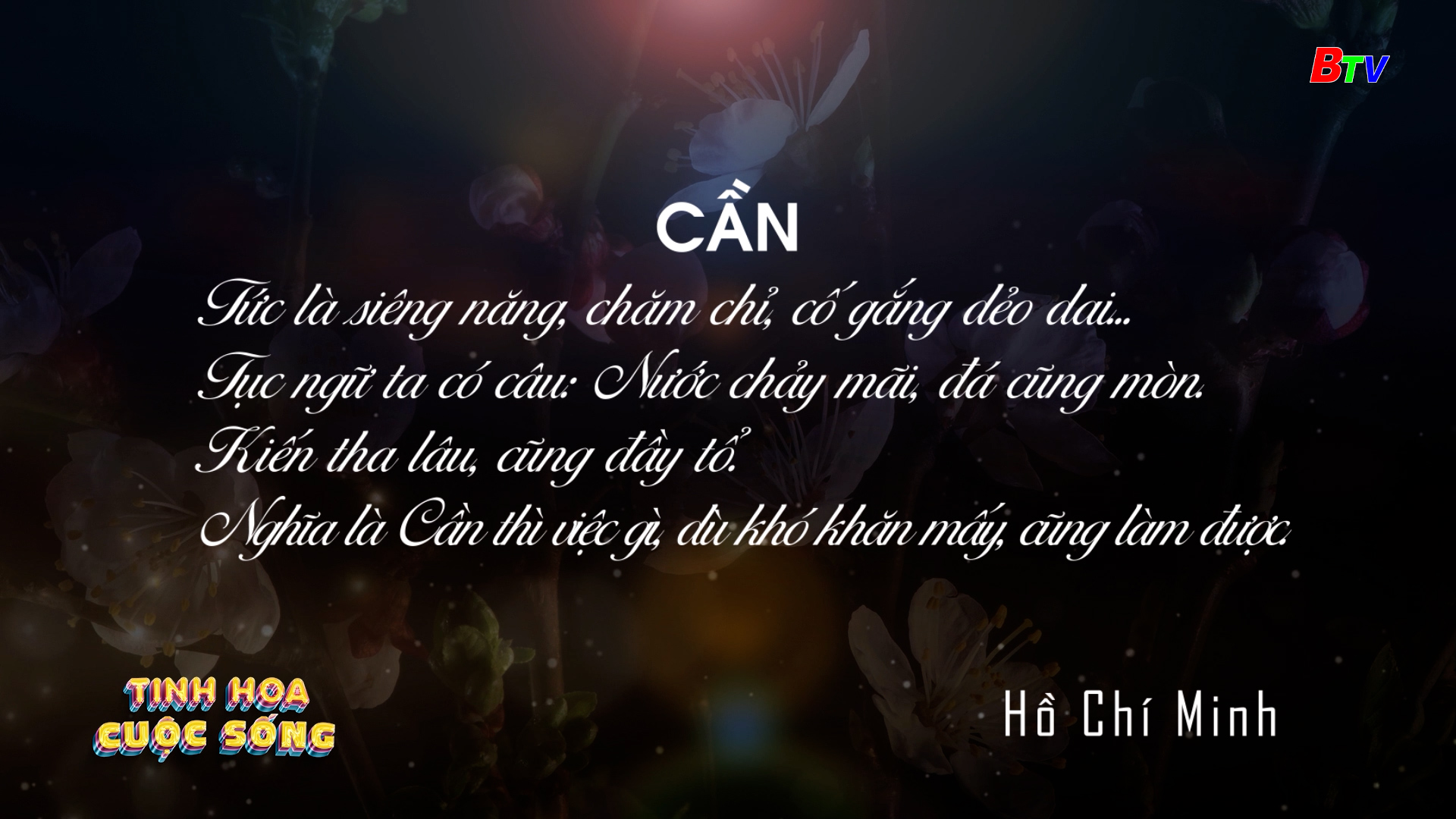 Tinh hoa cuộc sống | Ngày 20/05/2025