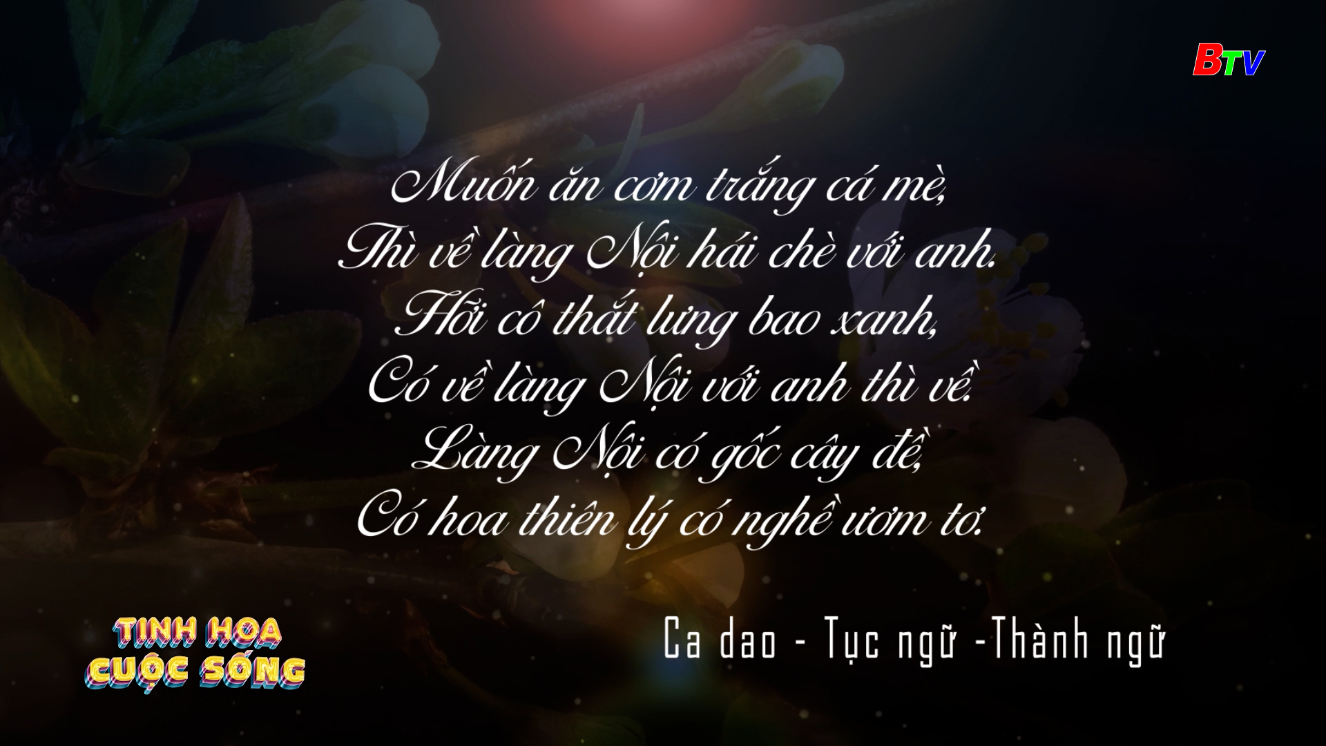 Tinh hoa cuộc sống | Ngày 18/05/2025(2)