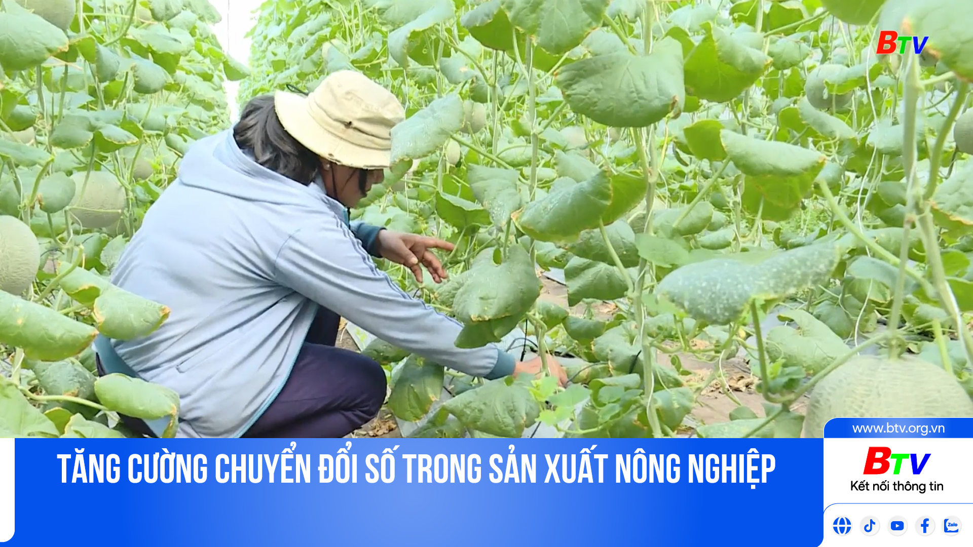 Tăng cường chuyển đổi số trong sản xuất nông nghiệp