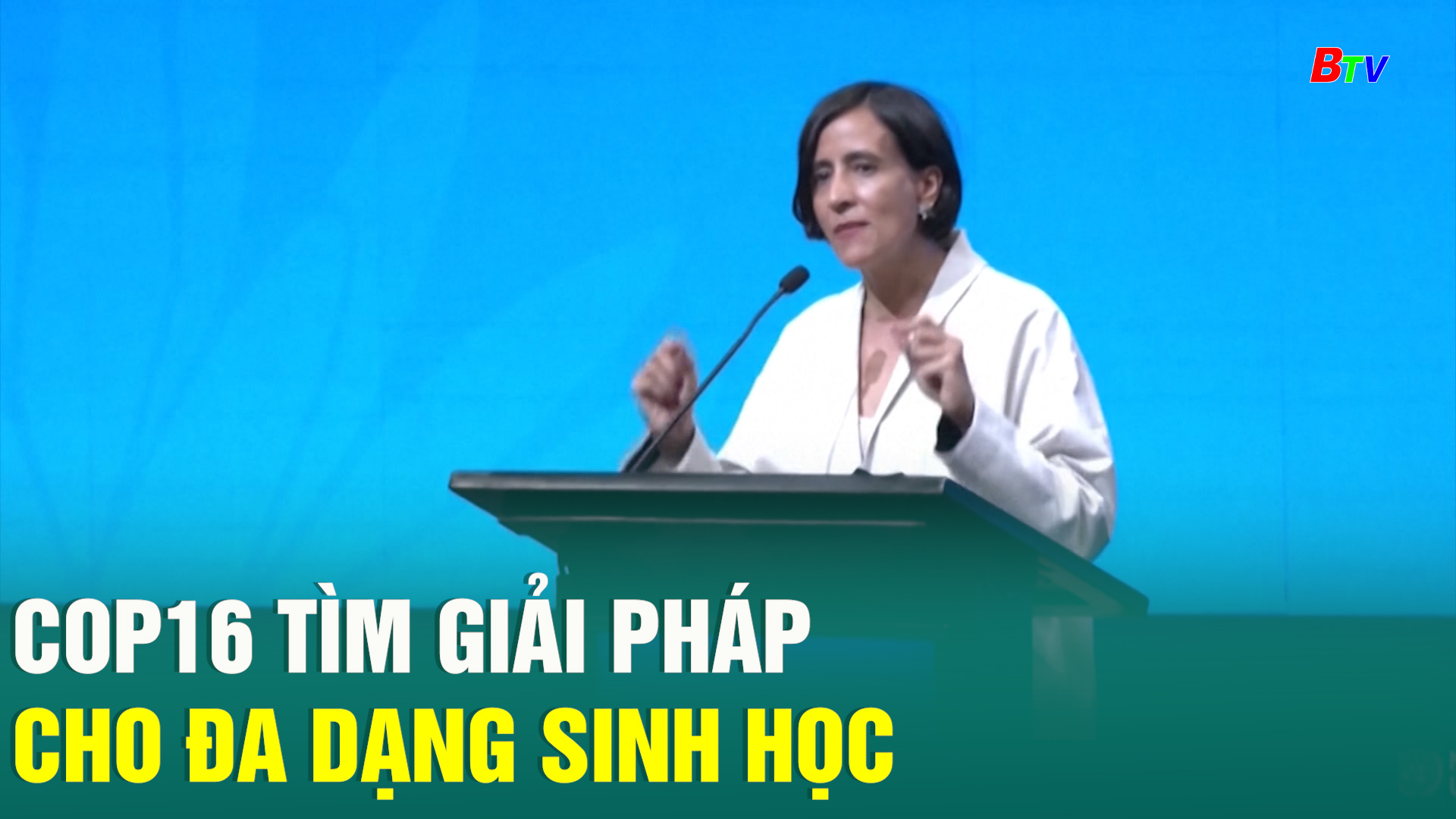 COP16 tìm giải pháp cho đa dạng sinh học