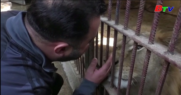 Gặp gỡ người có tình yêu đặc biệt đối với động vật  ở Syria