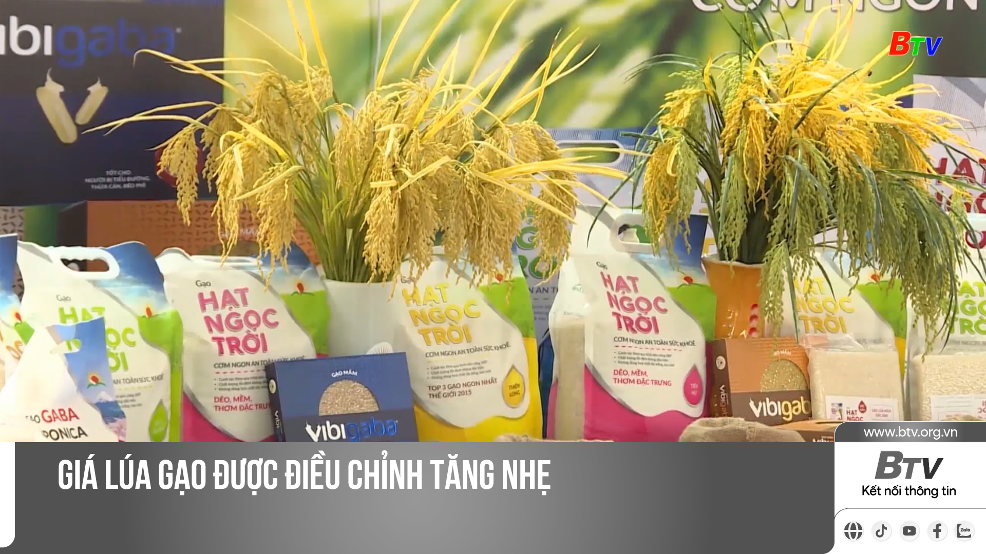 Giá lúa gạo được điều chỉnh tăng nhẹ