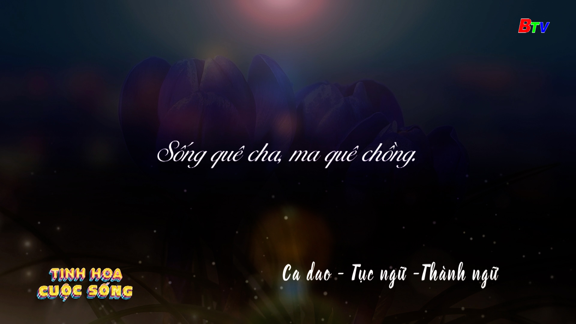 Tinh hoa cuộc sống - số 429