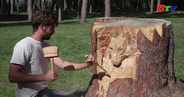 Nhà điêu khắc thổi hồn vào các gốc cây chết ở Rome