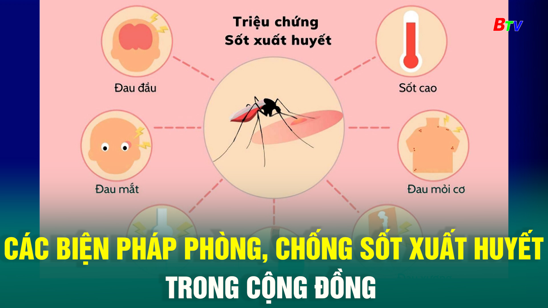 Các biện pháp phòng, chống sốt xuất huyết trong cộng đồng