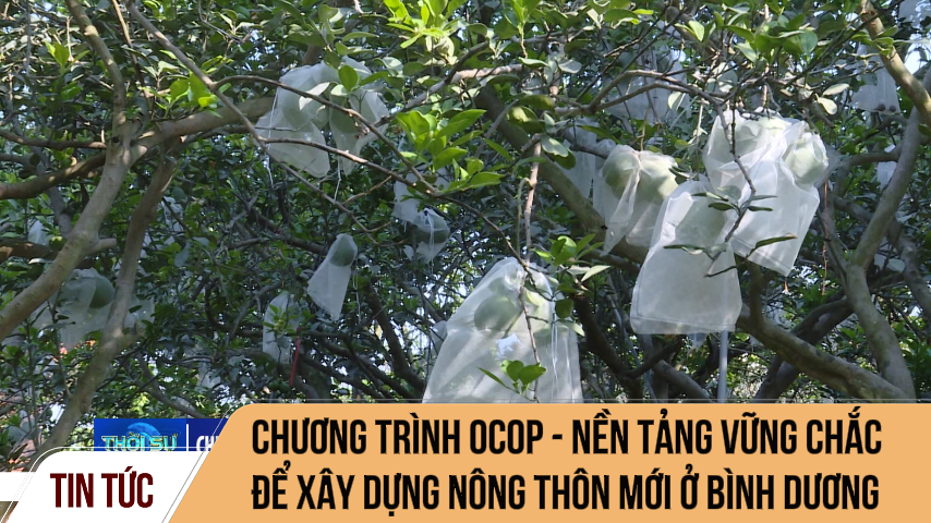 Chương trình OCOP: Nền tảng vững chắc xây dựng nông thôn mới ở Bình Dương