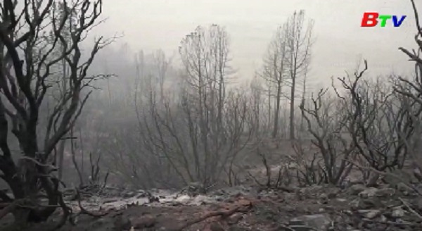 Mỹ - Bang California nỗ lực khống chế cháy rừng