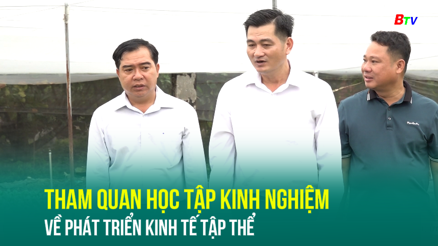 Tham quan học tập kinh nghiệm về phát triển kinh tế tập thể