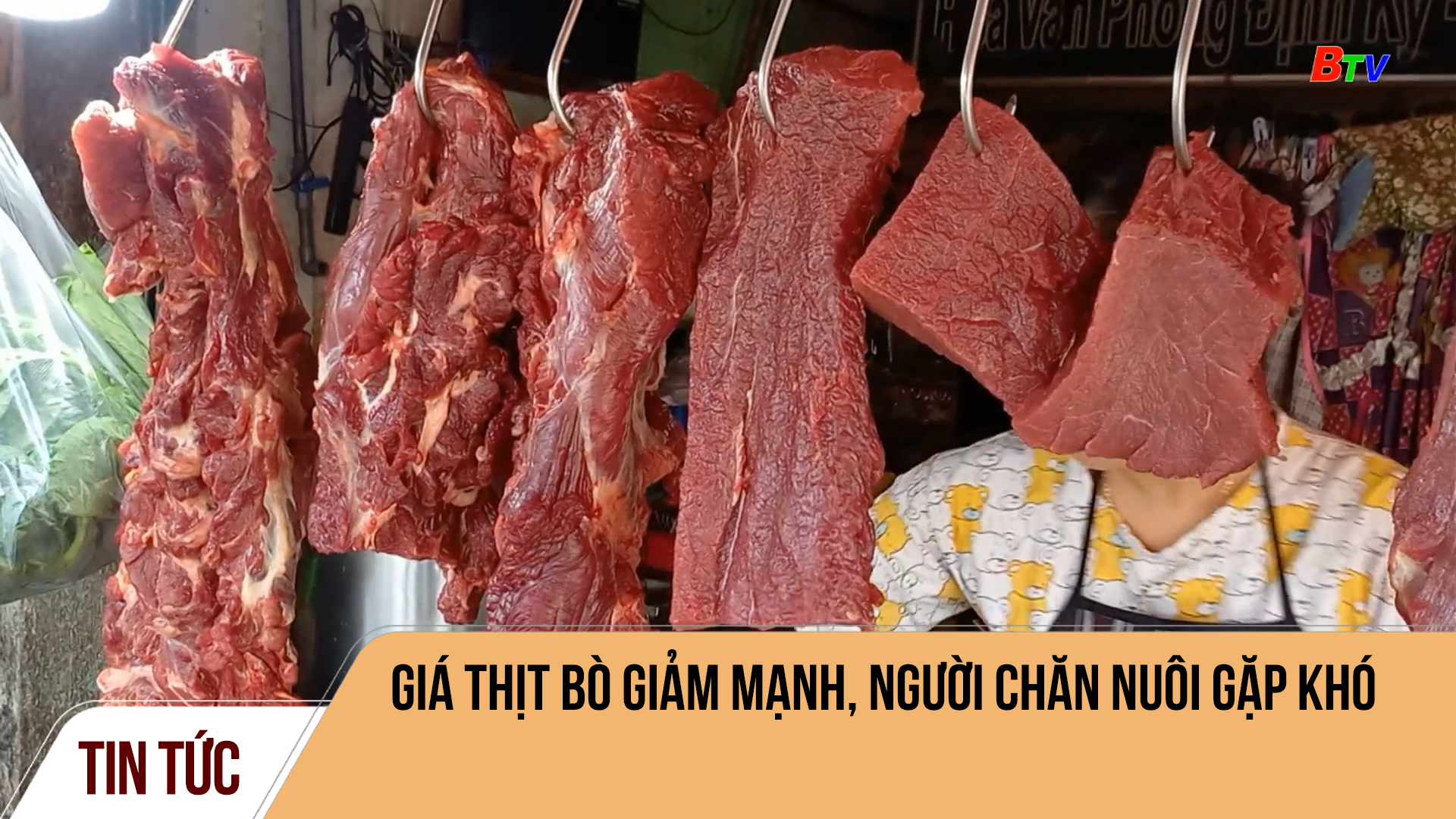 Giá thịt bò giảm mạnh, người chăn nuôi gặp khó