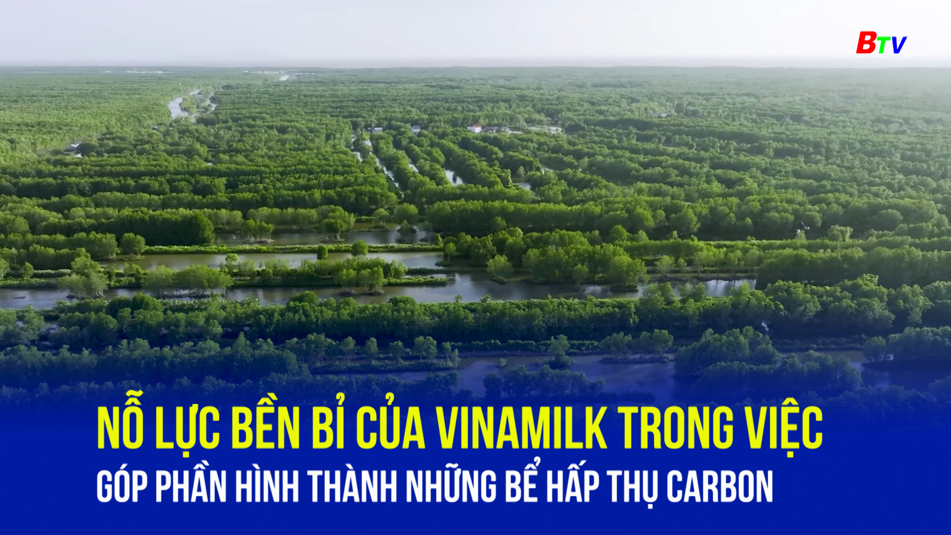 Nỗ lực bền bỉ của Vinamilk trong việc góp phần hình thành những bể hấp thụ carbon