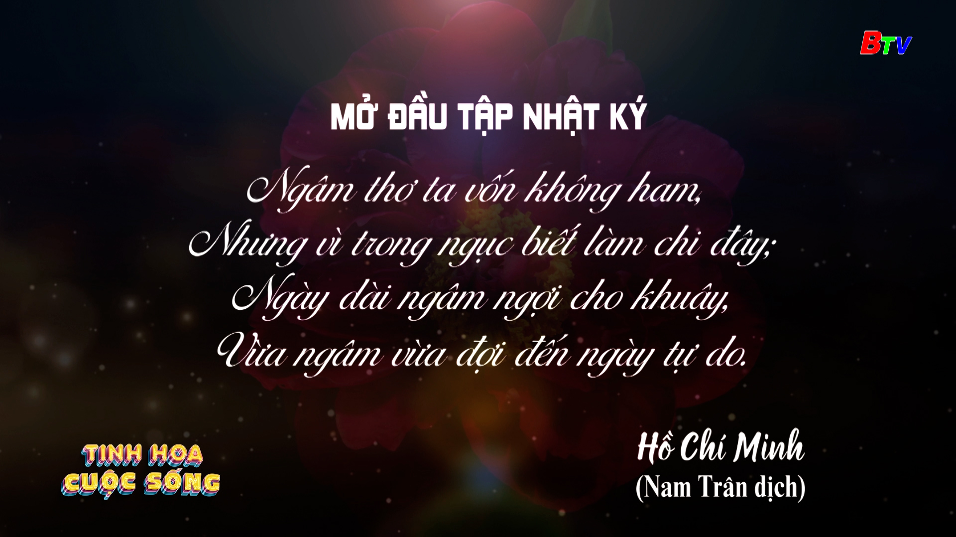 Tinh hoa cuộc sống - số 461