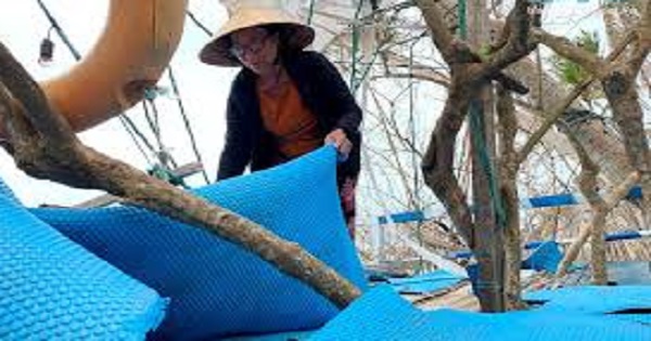 Đảo bé An Bình, Lý Sơn thiệt hại nặng nề sau thiên tai