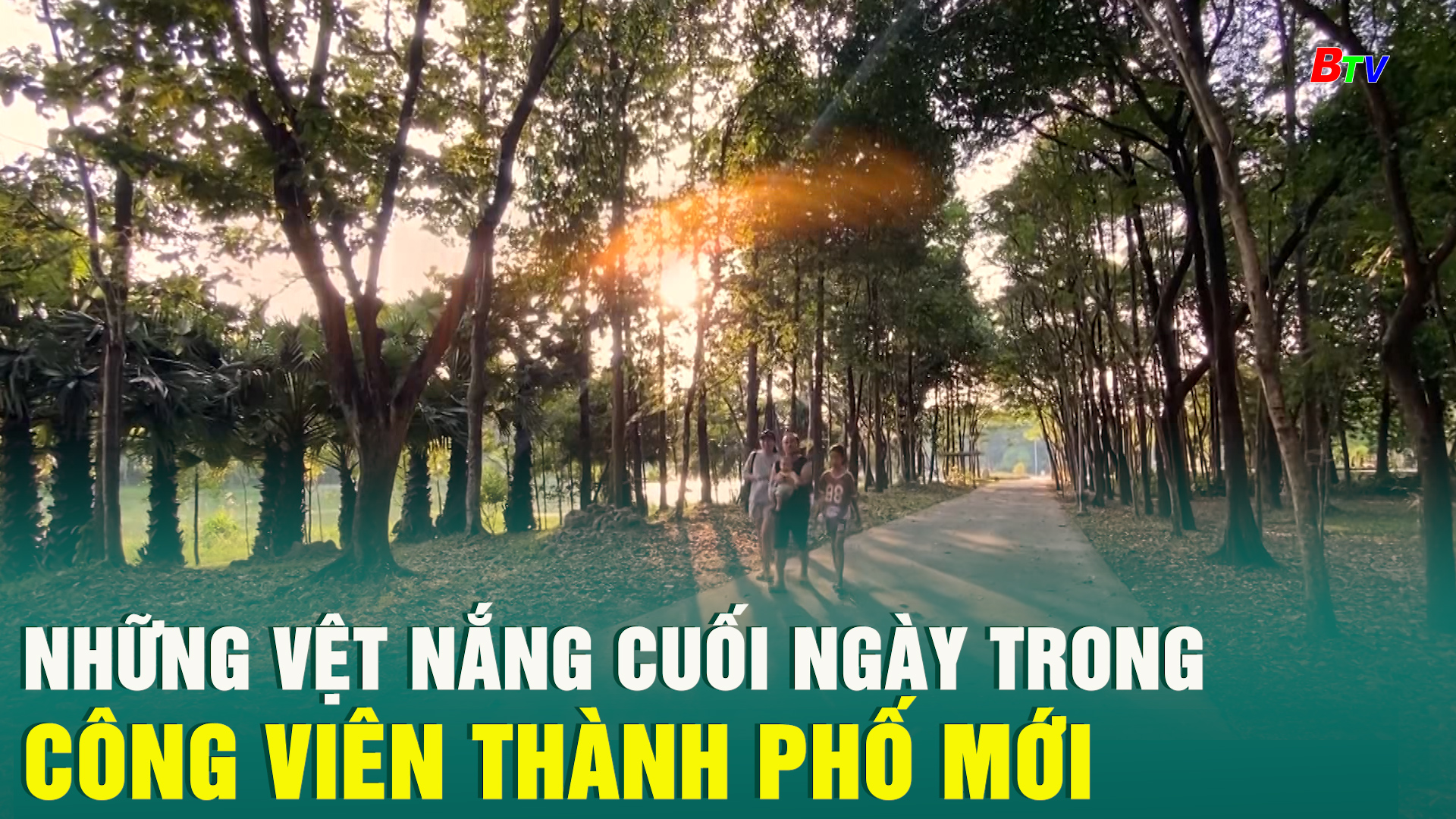 Những vệt nắng cuối ngày trong công viên Thành phố mới